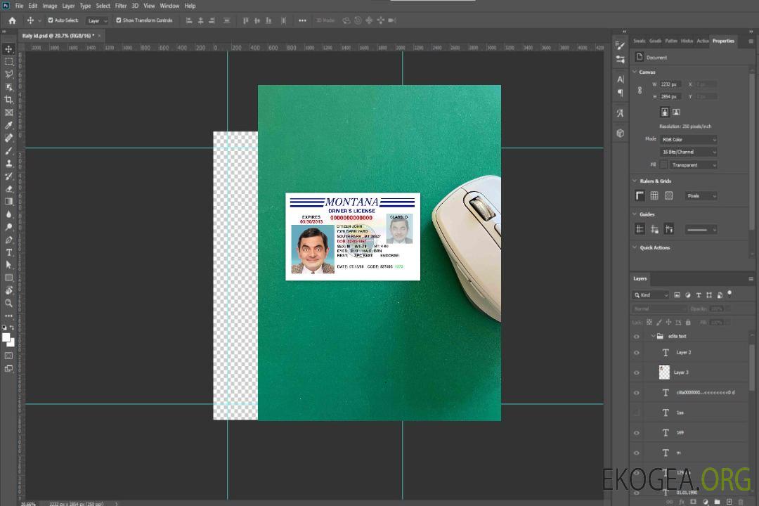 Permis de conduire USA Montana version 3 photolook AVANT template Permis de conduire USA Montana version 3 photolook AVANT template